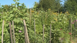 Biovrt Silvije Kolar-Fodor, mjesto gdje priroda i znanje rastu zajedno