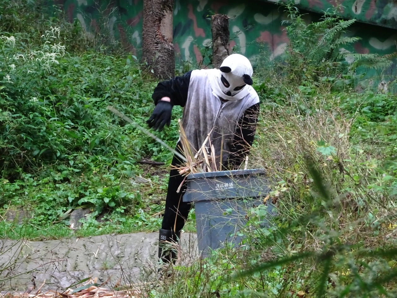 Nedjelja, 24. svibnja na Drugom, Foto: Godina na planetu Zemlji: Godina na mojem planetu Zemlji/dokumentarna serija