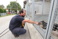 U Dumovcu održano Večernje udomljavanje pasa i mačaka , Foto: Boris Scitar/PIXSELL