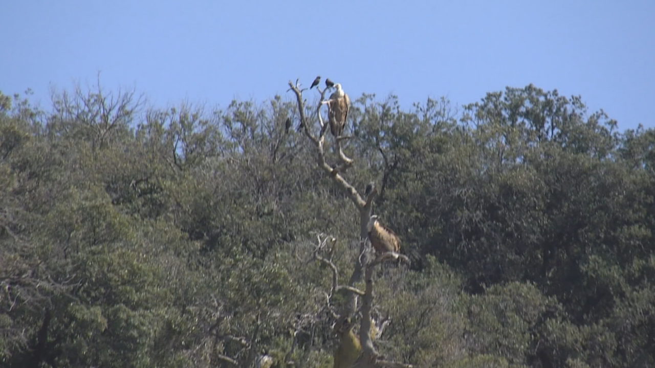 Nedjelja, 15. veljače na Prvom, Foto: Rijeka: More/HRT