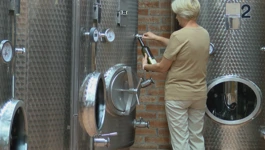 Ulaganje u vinograde, brendiranje vina i vinski turizam