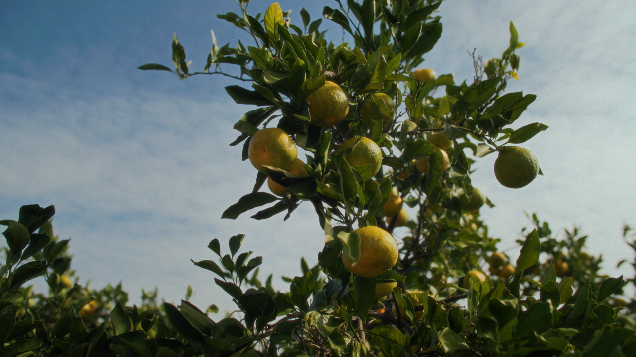 Put rijeka: Neretva - HRT
