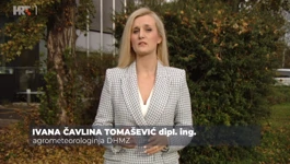 Ivana Čavlina Tomašević