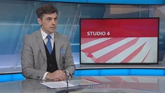 Damir Grubišić, ekonomski analitičar