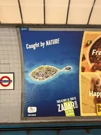 Zadar u londonskom metrou, Foto: Zara Ružić/HRT