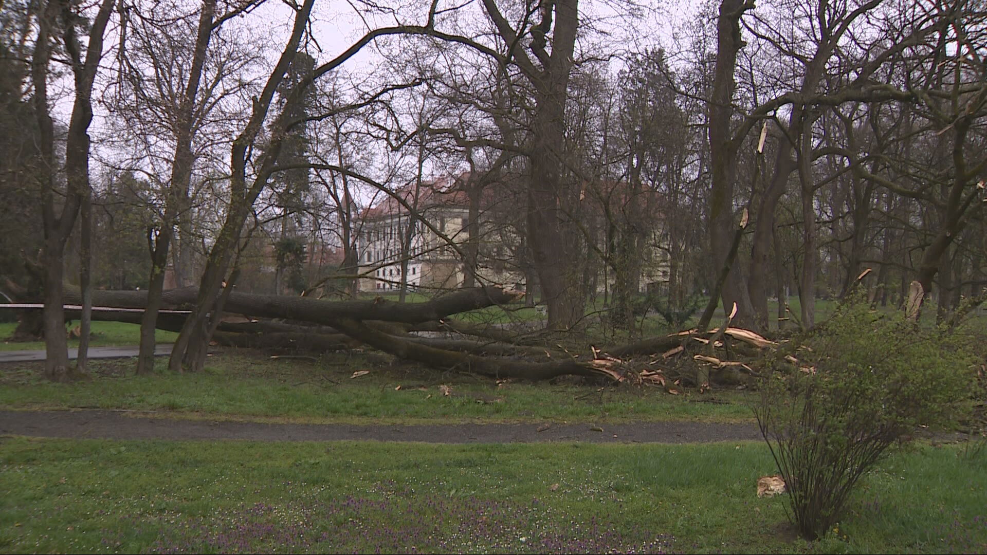 ims ck sruseno stablo mtakac it t frame 208 20260327083028