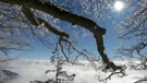 Godišnja doba prašume Krokar
