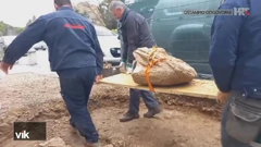 Iskopan kameni torzo u Puli, Foto: Vijesti iz kulture/HRT