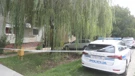 Policija i forenzičari u kući ubijene žene