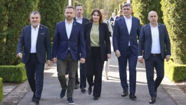 U Vukovaru je predstavljena lista kandidata HDZ-a i partnera 