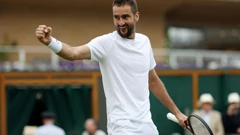 Marin Čilić