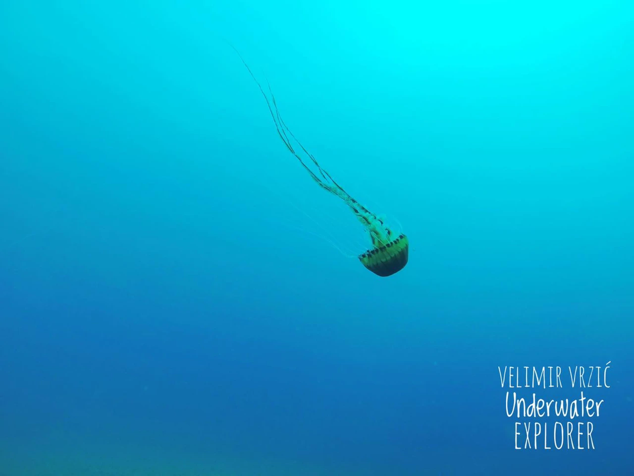 Meduza 