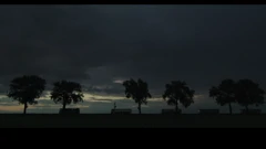 Srijeda, 15. studenoga na Prvom, Foto: Istražitelj/dokumentarac