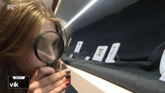 Izložba portreta kukaca 