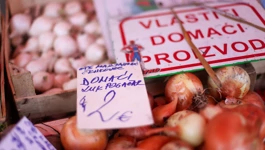 Domaći proizvod ržnica