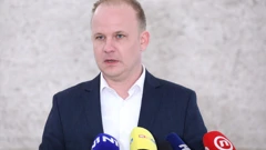 Mišel Jakšić