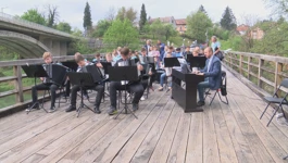 Harmonika festival 