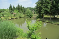 Mato Lovrak, Veliki Grđevac, Foto: Foto: Tomislav Šikić/Glas Hrvatske/-