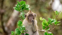 Ponedjeljak, 1. prosinca na Drugom , Foto: Legendarna otočja Indijskog oceana/dokumenarna serija 