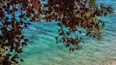 Otok Brač