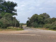 Peroj, Foto: Odjel weba i multimedije/HRT