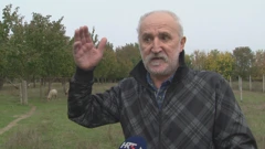 Mirko je u posljednjih godinu dana ostao bez pola ovaca