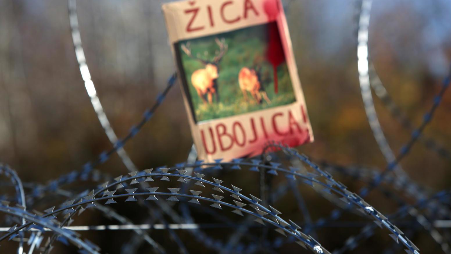 pxl 191215 12444601 20260319113216