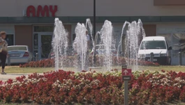 Našice