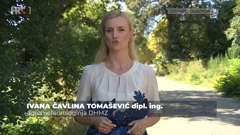 Ivana Čavlina Tomašević, Foto: HRT/HRT