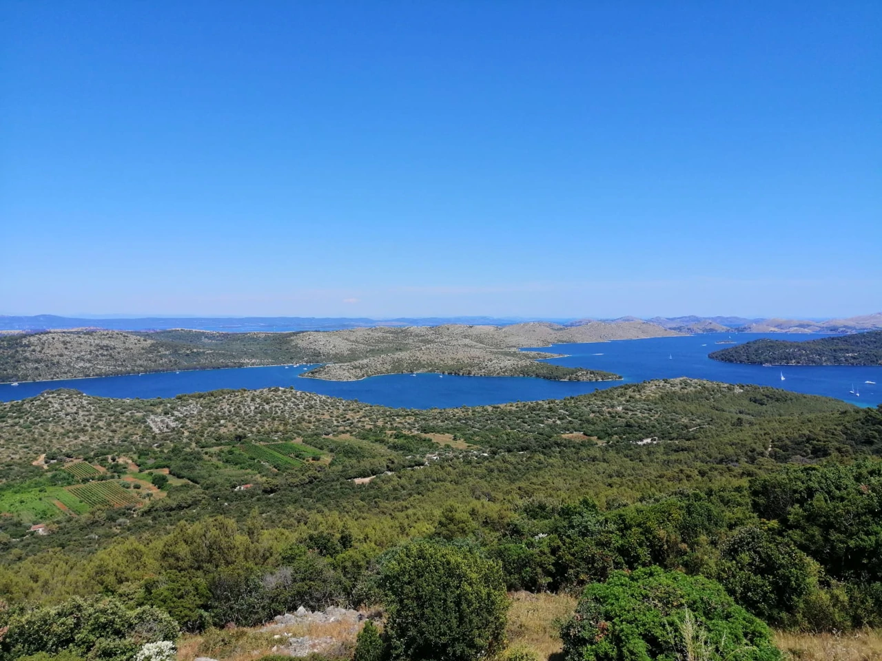 Grpašćak - Dugi otok , Foto: Dino Kajić /Radio Zadar