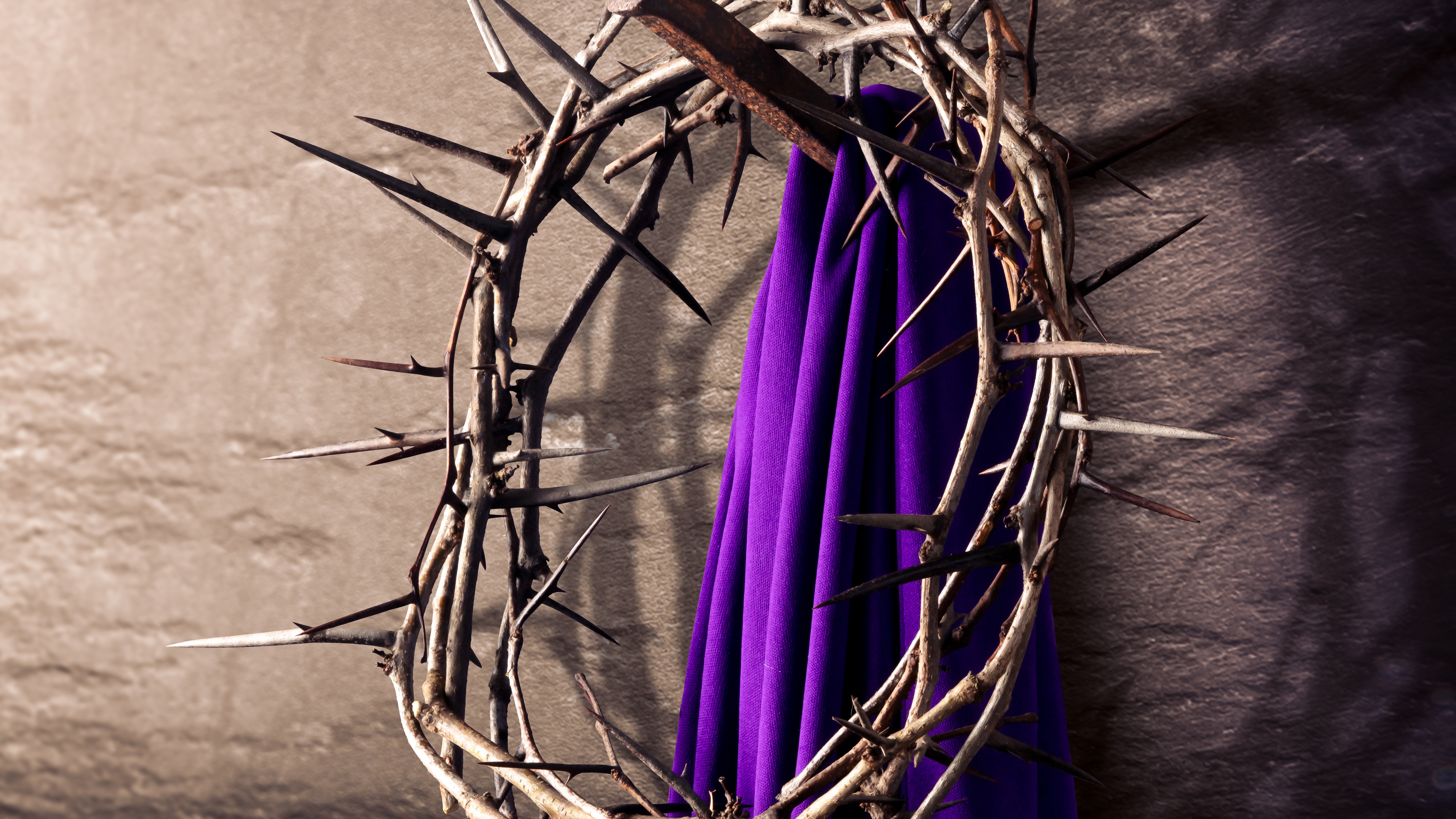 shutterstock 1908254116 20260403172432