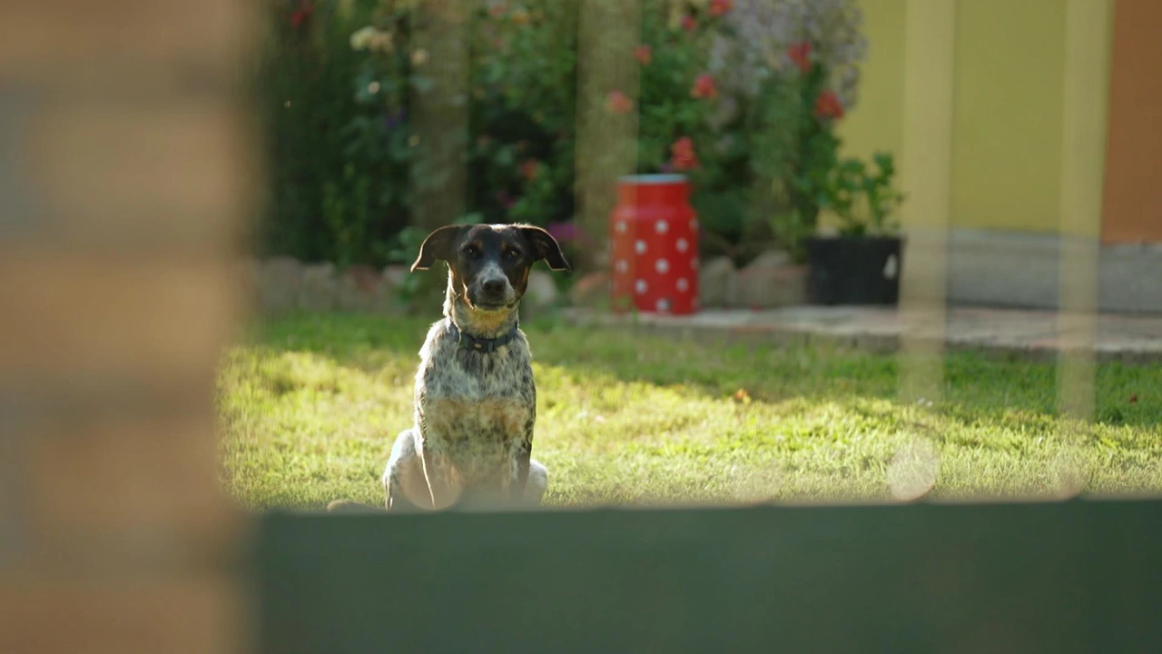Utorak, 10. veljače na Prvom, Foto: Pogled u dvorište iza kapije/dokumentarna serija 