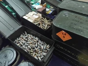 zapljena oružja, Foto: M. Kralj /HRT Radio Osijek 