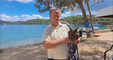 Vedran Petešić na Dugom Otoku spasio sovu