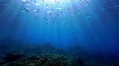 Obilježava se Svjetski dan oceana