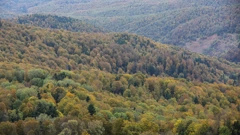 Medvednica