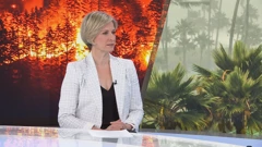 Dunja Mazzocco Drvar u Studiju 4