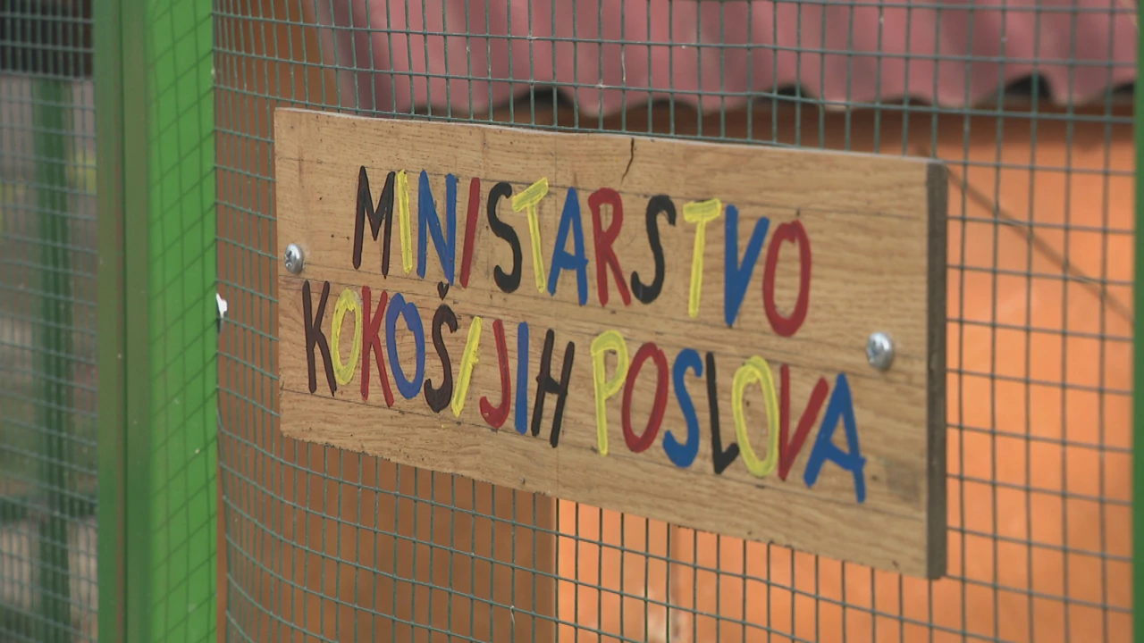 Stanovnici imaju i prava pernata ministarstva