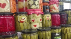 Šampioni kiselog povrća