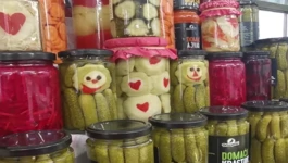 Šampioni kiselog povrća
