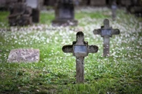 Pula: Šetnja memorijalnim Mornaričkim grobljem, Foto:  Sasa Miljevic/Pixsell