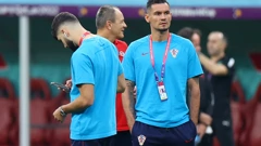 Dejan Lovren