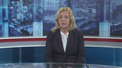 Vikica Krolo