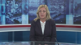 Vikica Krolo