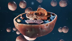 Utorak, 31. ožujka na Drugom , Foto: Bog i znanost/dokumentarna serija 