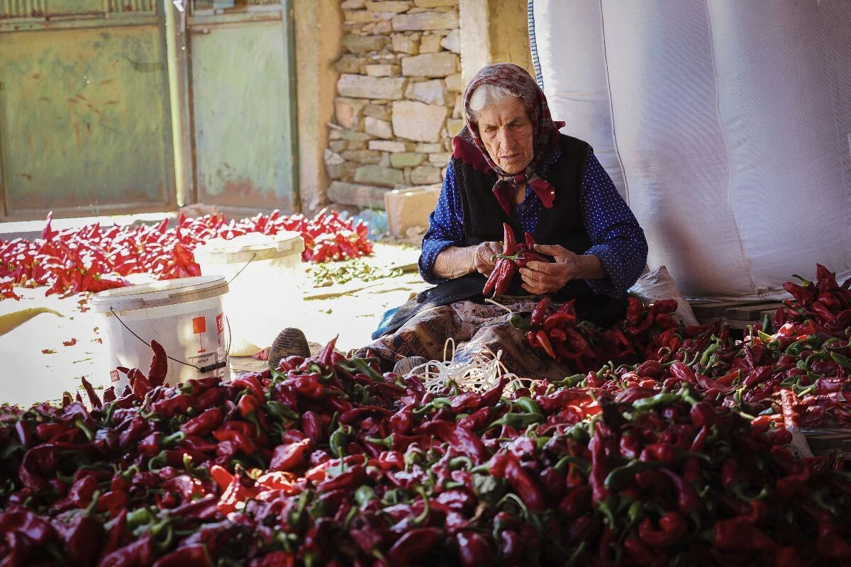 ., Foto: Sonja Diklić/.