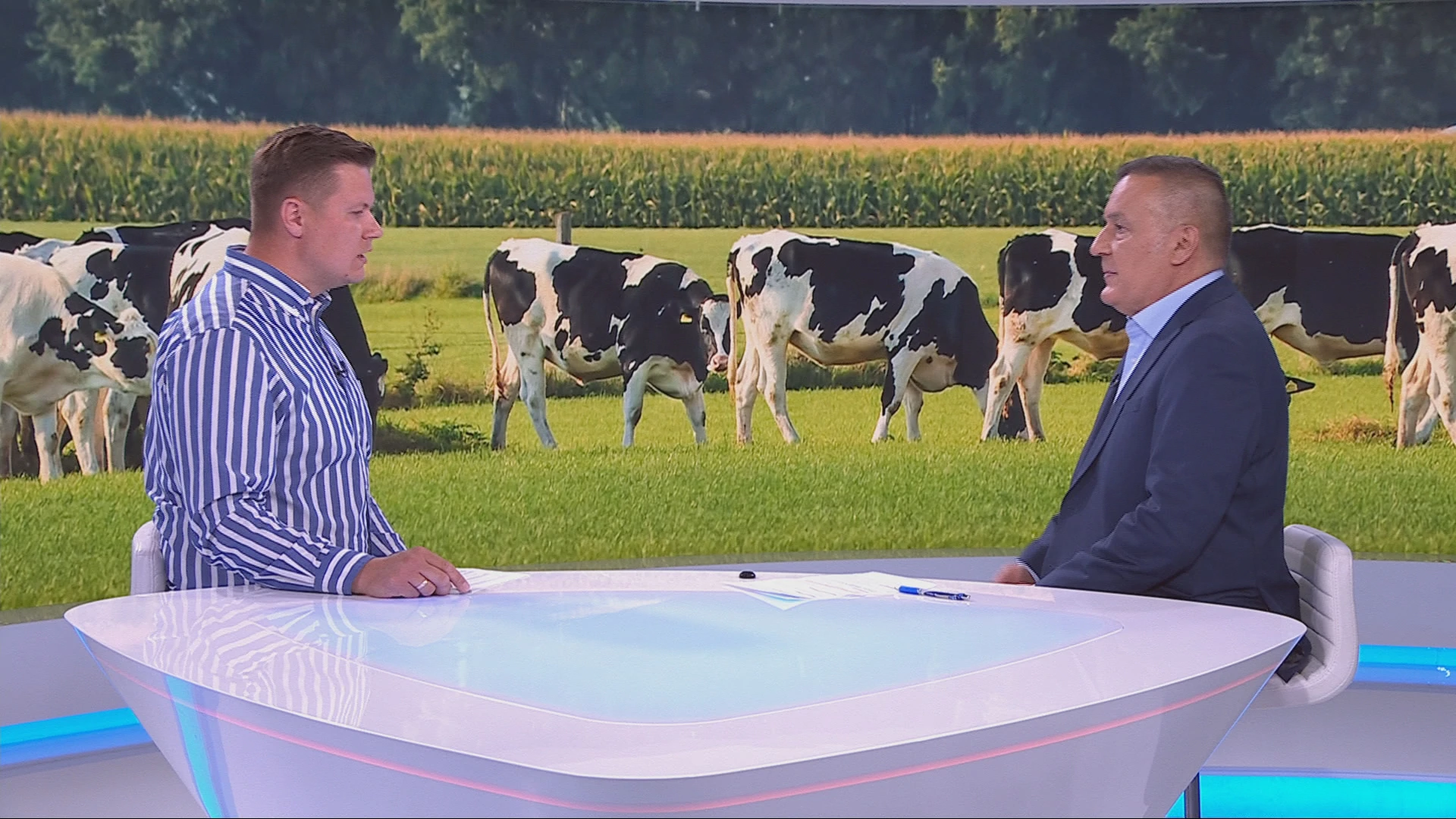 Gelemanović: Govedarstvo između izvozne stabilnosti i manjka klaoničkih kapaciteta