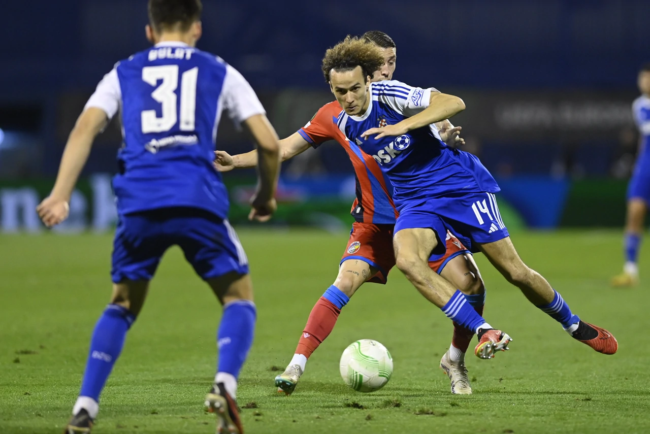 Dinamo - Viktoria, Foto: Ronald Gorsic/CROPIX