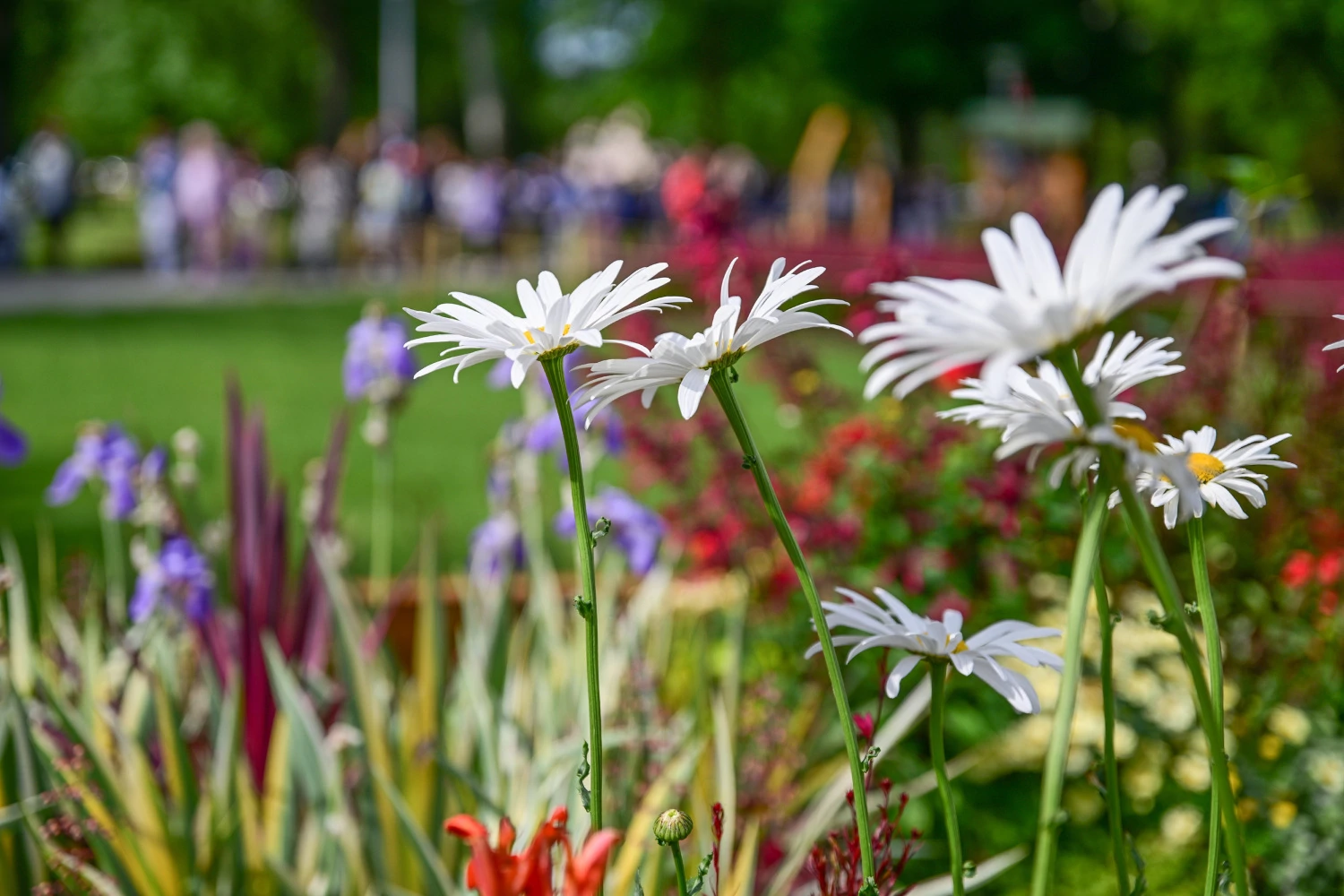 Floraart na Bundeku
