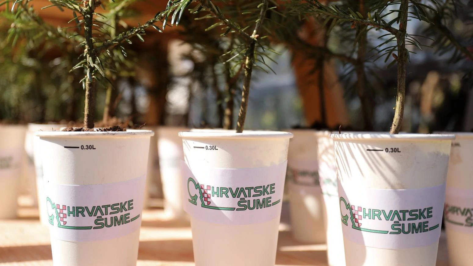 Hrvatske šume odbacile Dabrine navode o kriminalu